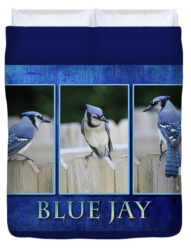 Blue Jay Duvet Cover featuring the photograph Blue Jay #2 by Ericamaxine Price
