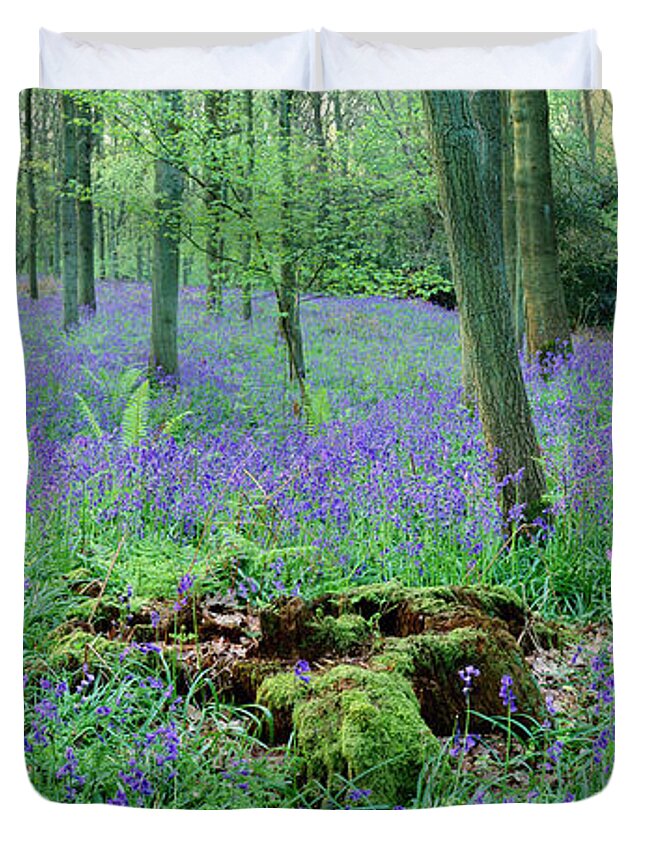 Bluebell Duvet Cover featuring the photograph Bluebell woods panorama #1 by Warren Photographic
