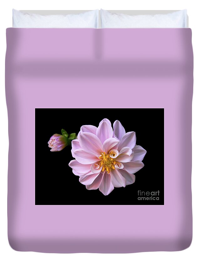 Pink Duvet Cover featuring the photograph Blushing #1 by Doug Norkum