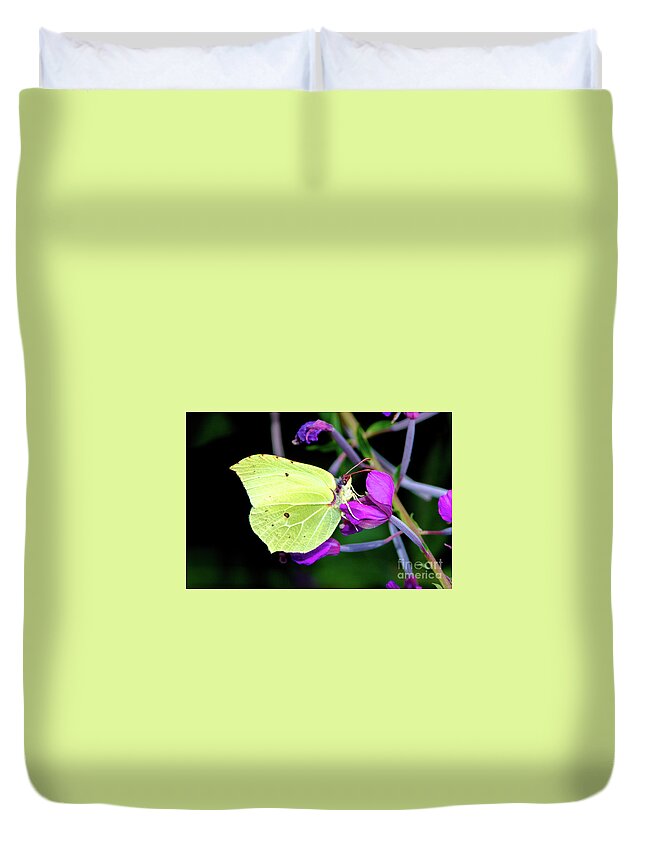 Animal Duvet Cover featuring the photograph Brimstone butterfly by Amanda Mohler