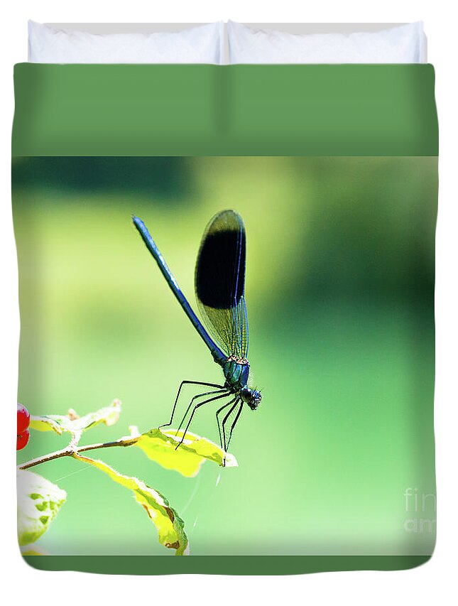 Countryside Duvet Cover featuring the photograph Broad-winged Damselfly, Dragonfly by Amanda Mohler