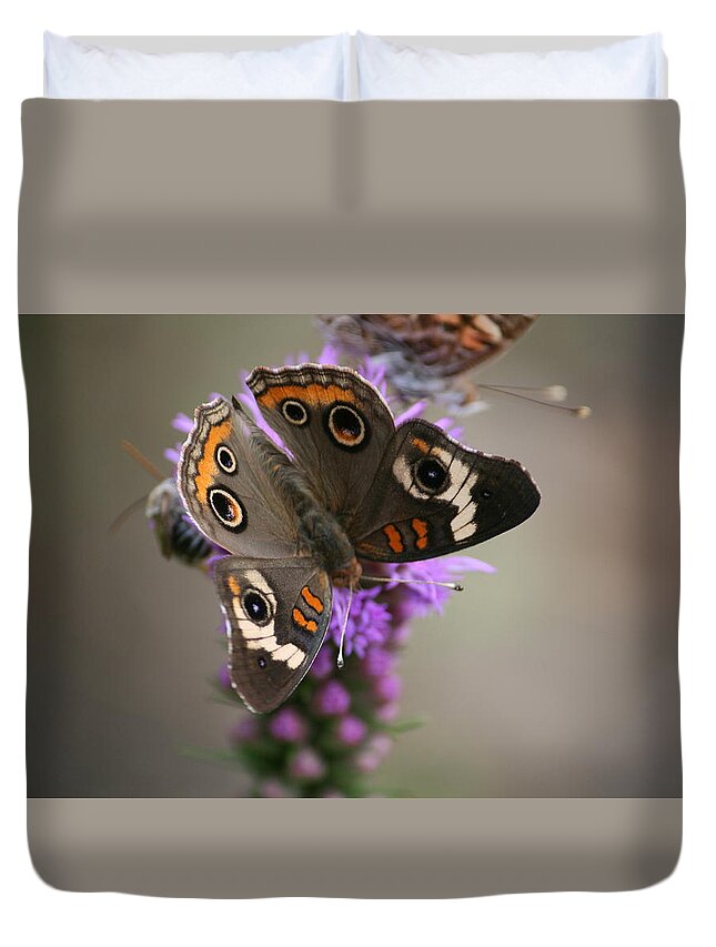 Butterfly Duvet Cover featuring the photograph Buckeye Butterfly by Cathy Harper