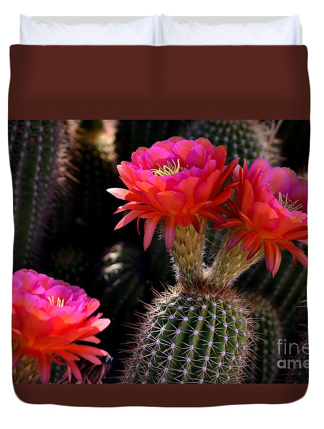 Red Duvet Cover featuring the photograph Sonoran Spring by Deb Halloran