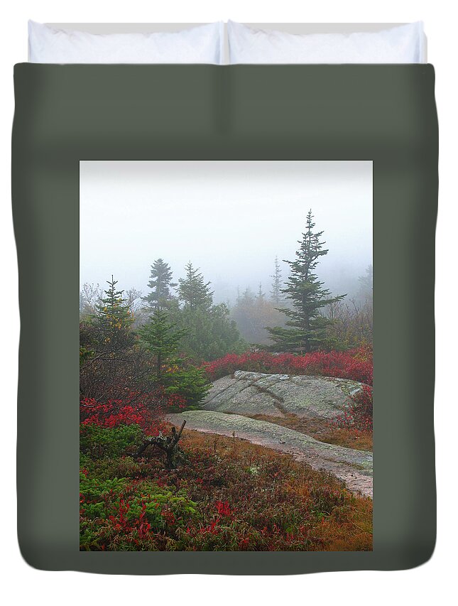 Acadia Np Duvet Cover featuring the photograph Cadillac Mountain #1 by Juergen Roth