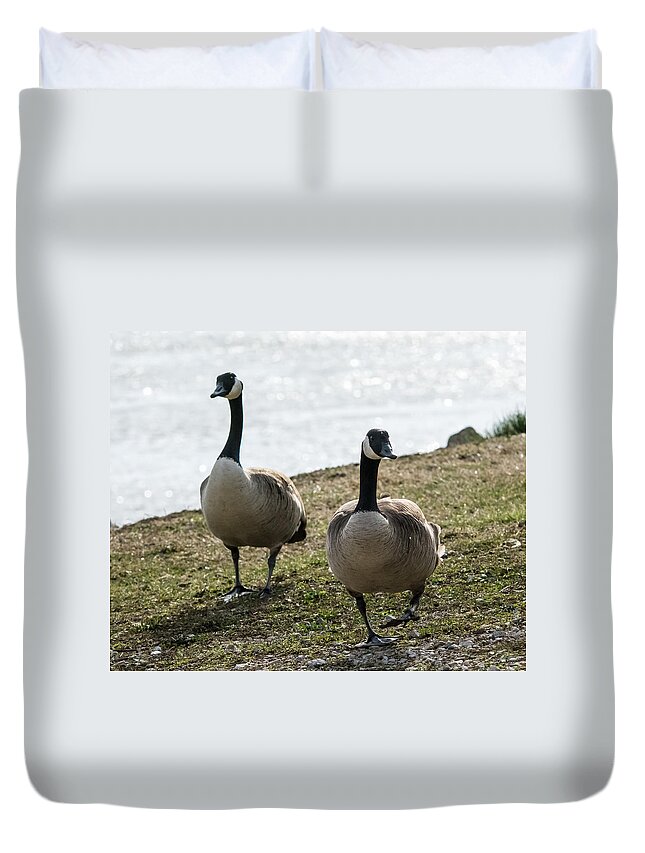 Jan Holden Duvet Cover featuring the photograph Canada Geese   by Holden The Moment