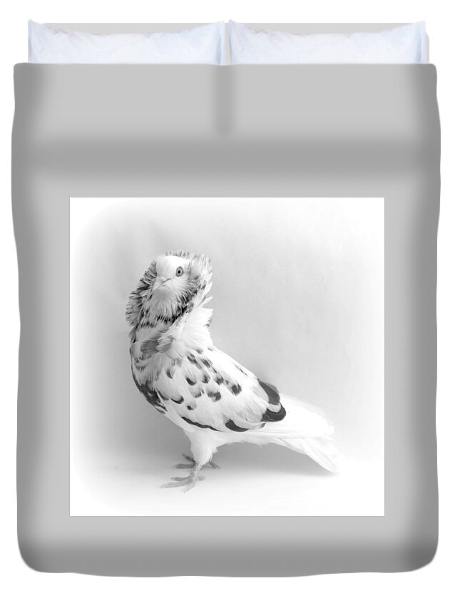 Bird Duvet Cover featuring the photograph Capuchine Pigeon #1 by Nathan Abbott