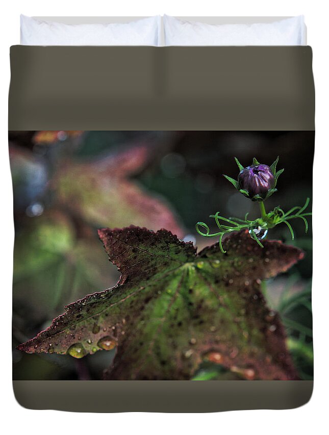 Flower Bud Duvet Cover featuring the photograph Change of Seasons #1 by Bonnie Bruno
