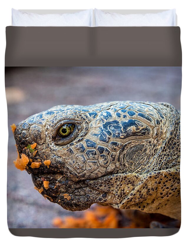 Desert Tortoise Duvet Cover featuring the photograph Chatsworth Eats Carrots by Gary Karlsen