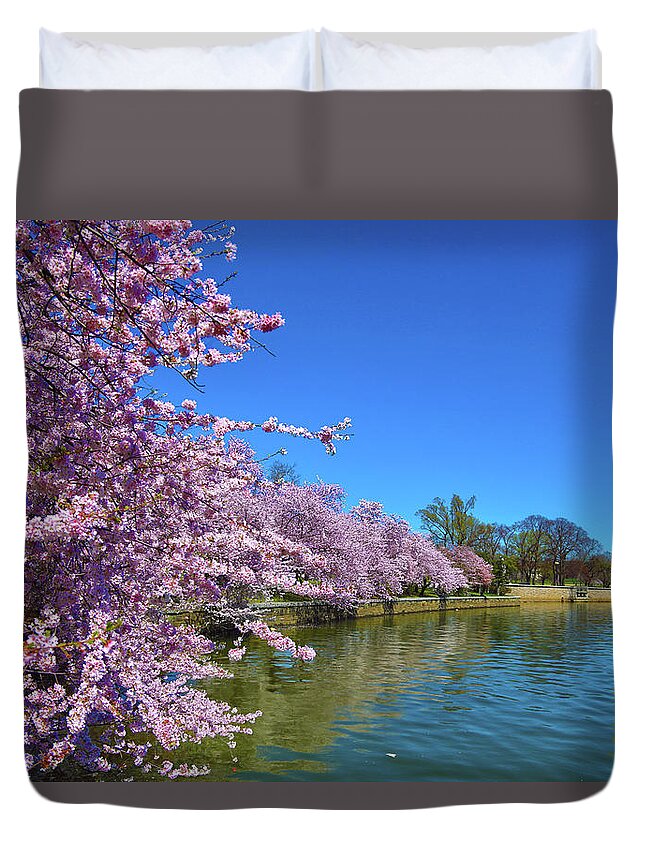 Cherry Blossoms Duvet Cover featuring the photograph Cherry Blossoms #1 by Mitch Cat