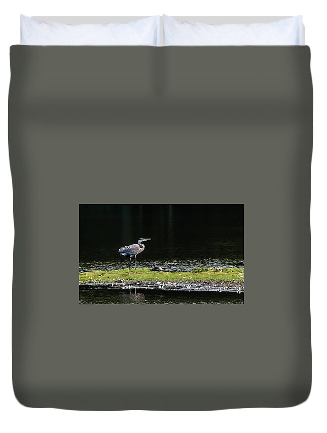 Great Blue Heron Duvet Cover featuring the photograph Chesapeake Bay Great Blue Heron #1 by Patrick Wolf