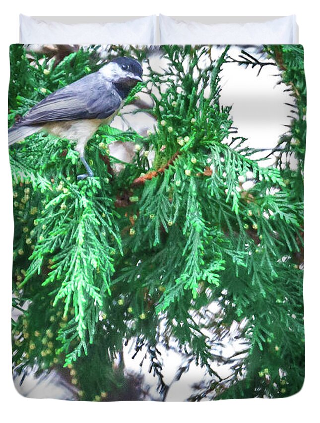 Lovely Duvet Cover featuring the photograph Chickadee Perched On An Evergreen Tree #1 by Alex Grichenko