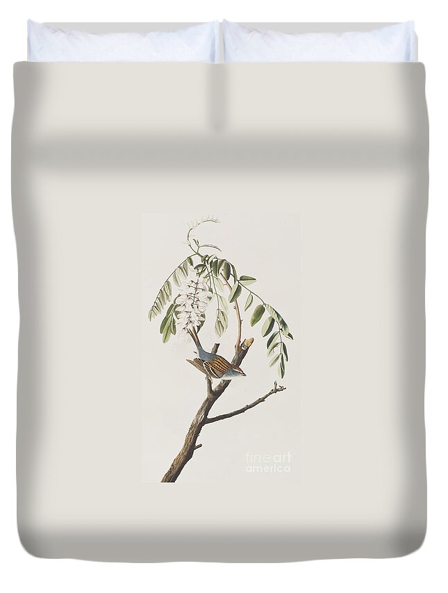 Chipping Sparrow Duvet Covers