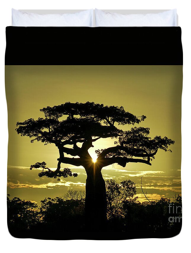 Madagascar Duvet Cover featuring the photograph Classic Africa #1 by Brian Kamprath