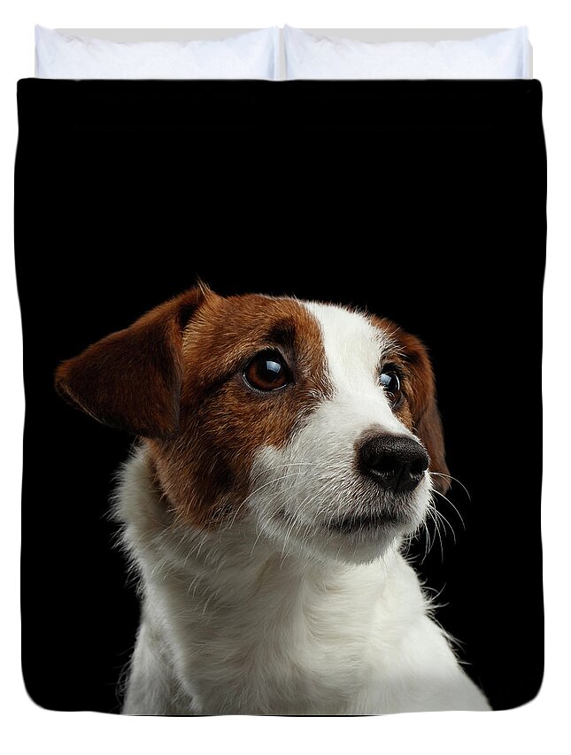 Jack Russell Terrier Duvet Covers