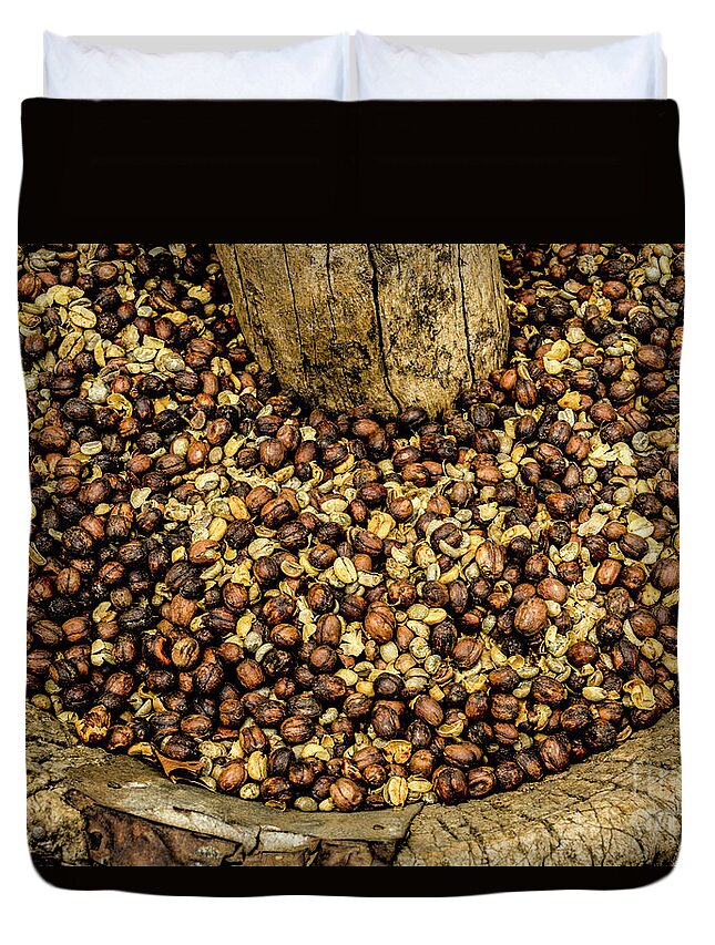 Coffee Duvet Cover featuring the photograph Coffee2. Costa Rica by Ksenia VanderHoff