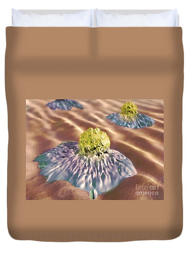 Cancer Duvet Cover featuring the photograph Colon Cancer Cells, Illustration #1 by Spencer Sutton
