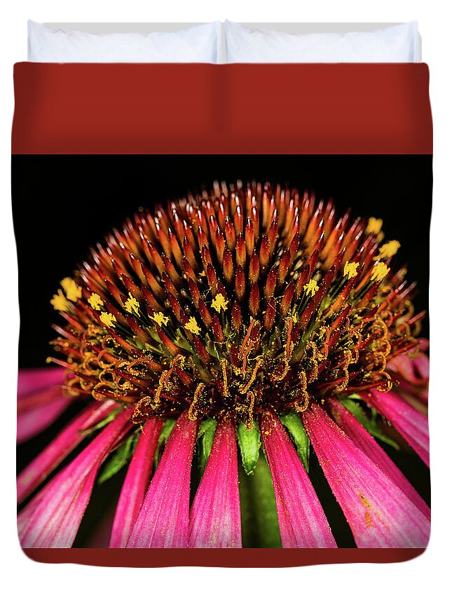 Jay Stockhaus Duvet Cover featuring the photograph Cone Flower #1 by Jay Stockhaus