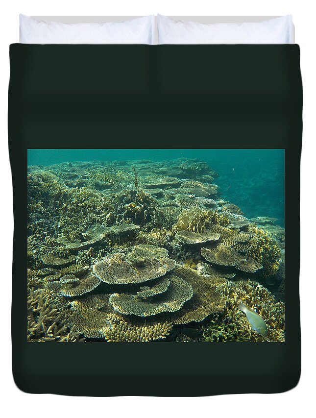 Okinawa Duvet Cover featuring the photograph Coral Reef #1 by Minami Daminami
