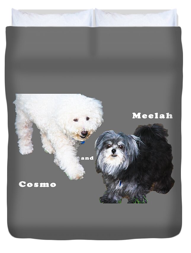 Cosmo The Dog Duvet Cover featuring the photograph Cosmo and Meelah 1 by Terry Wallace