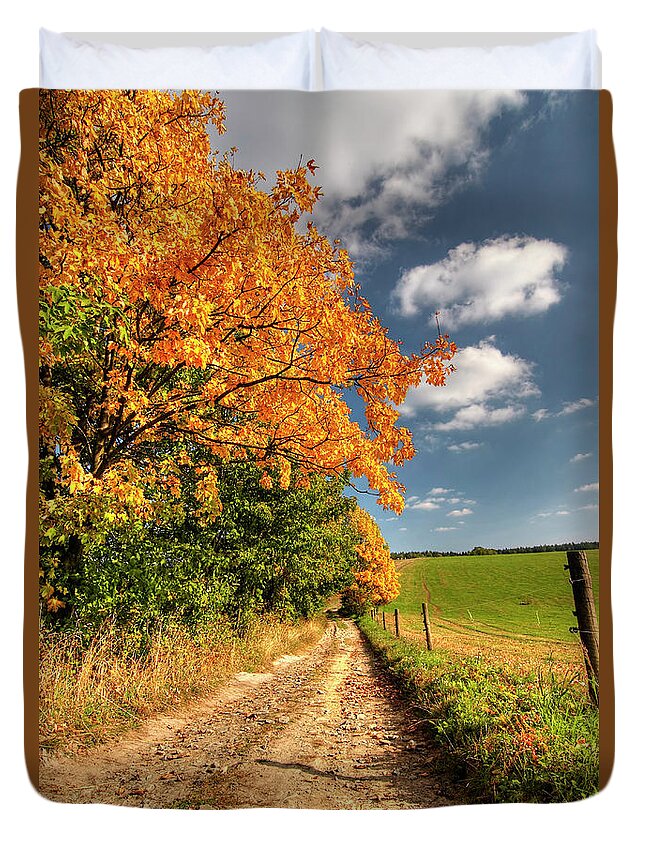 Autumn Duvet Cover featuring the photograph Country Road And Autumn Landscape #1 by Michal Boubin