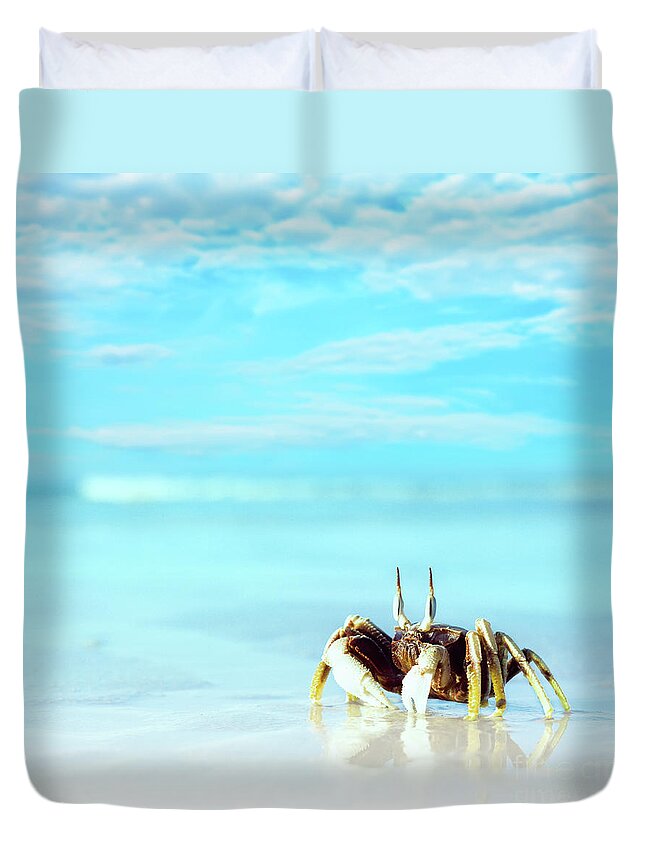 Macro Duvet Cover featuring the photograph Crab on the tropical beach #1 by MotHaiBaPhoto Prints