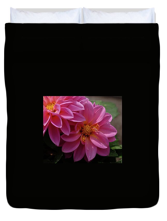 Dahlia Flower Duvet Cover featuring the photograph Dahlia beauty #1 by Ronda Ryan