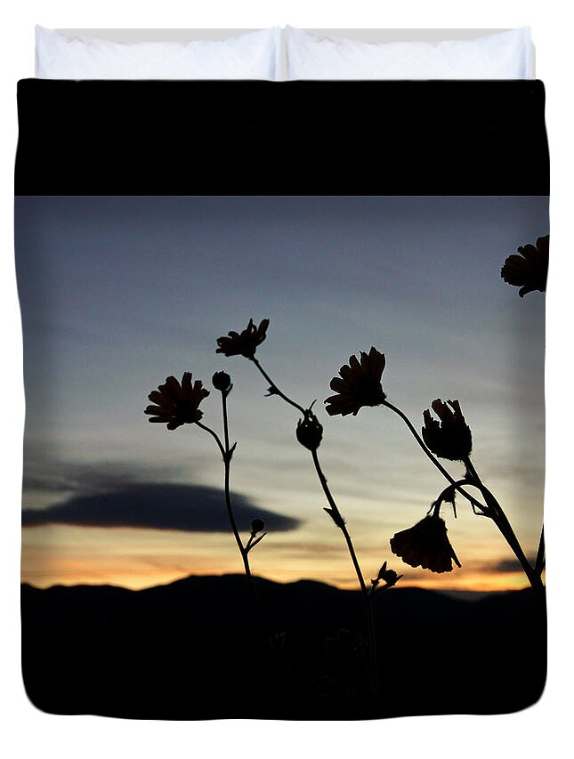 Superbloom 2016 Duvet Cover featuring the photograph Death Valley Superbloom 104 #1 by Daniel Woodrum