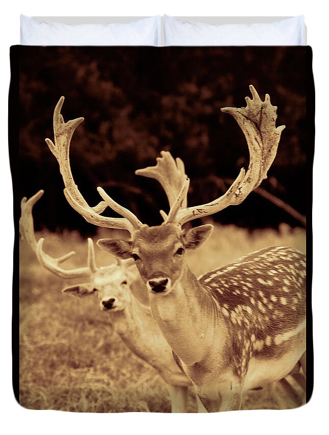 Deer Duvet Cover featuring the photograph Deer Sepia #1 by Douglas Barnard