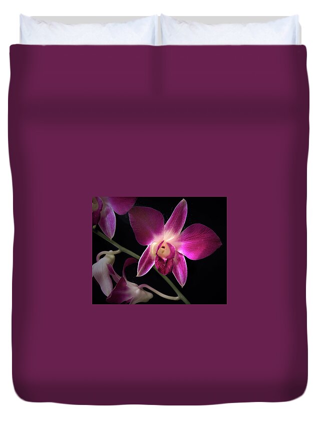 Dendrobium Orchid Duvet Cover featuring the photograph Dendrobium Orchid #1 by Nancy Griswold