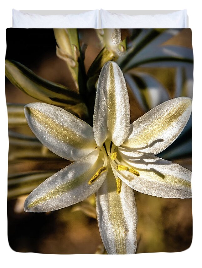 Arizona Duvet Cover featuring the photograph Desert Lily #4 by Robert Bales