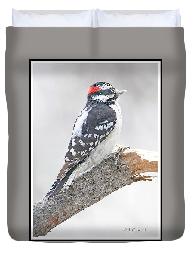 Picoides Pubescens Duvet Cover featuring the photograph Downy Woodpecker Male, Animal Portrait #1 by A Macarthur Gurmankin