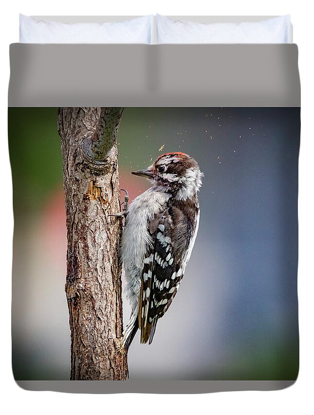 Picoides Pubescens Duvet Cover featuring the photograph Downy Woodpecker #1 by Ray Congrove