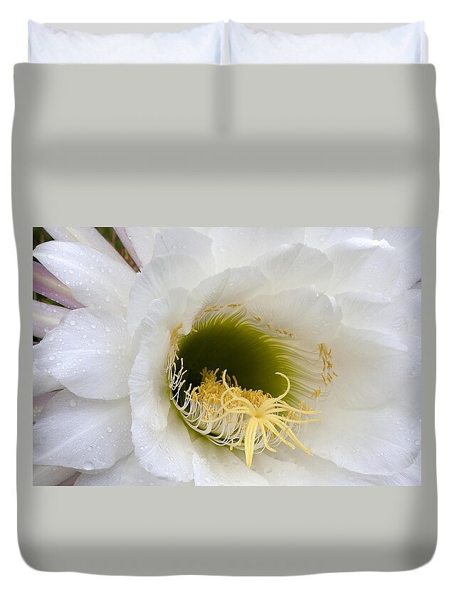 Flower Duvet Cover featuring the photograph Easter Lily Cactus #1 by Phyllis Denton