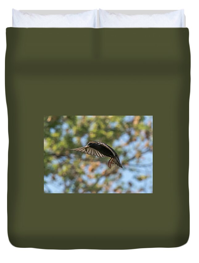 Starling Duvet Cover featuring the photograph European Starling  by Holden The Moment