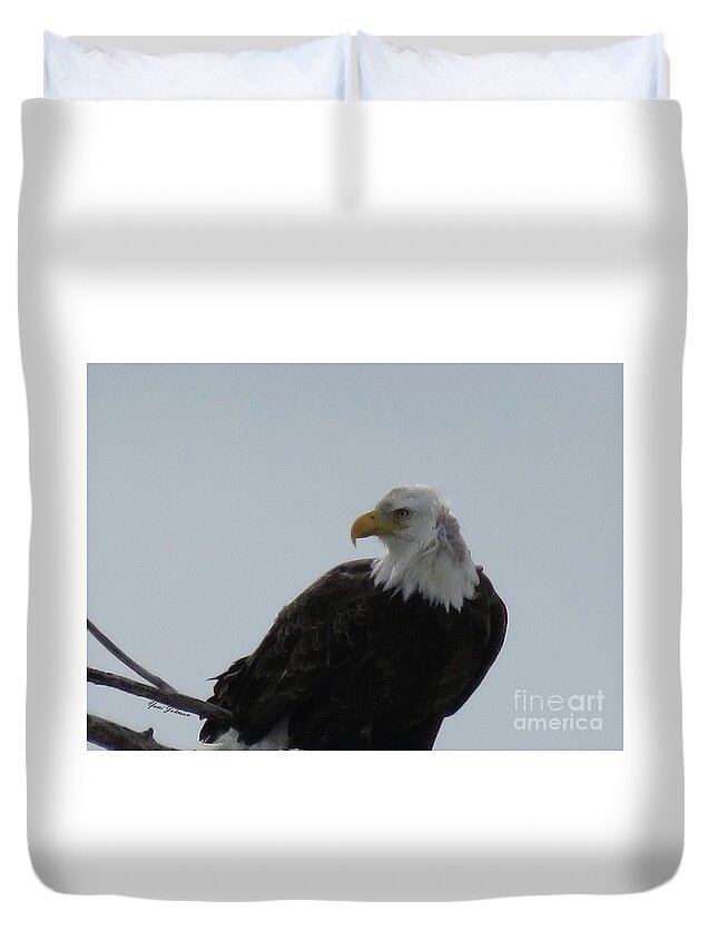 Bold Eagle Duvet Cover featuring the photograph Eye on you by Yumi Johnson