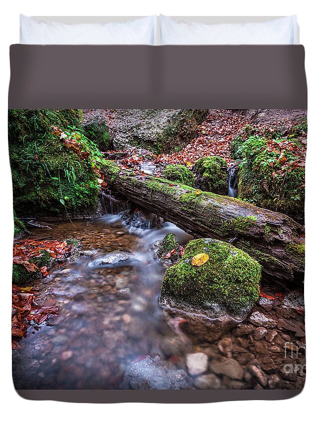 Autumn Duvet Cover featuring the photograph Fall In The Woods by Hannes Cmarits