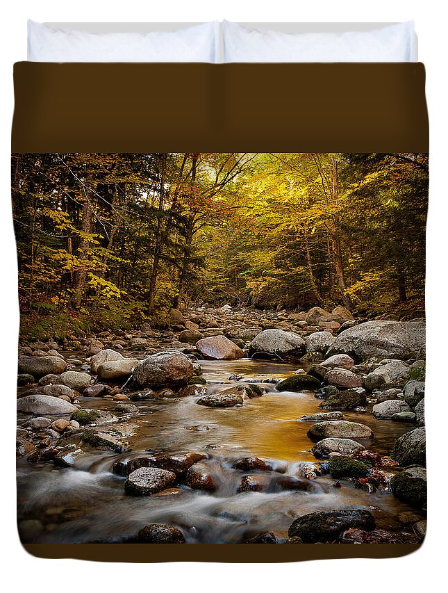 Fall Duvet Cover featuring the photograph Fall on the Gale River #1 by Benjamin Dahl
