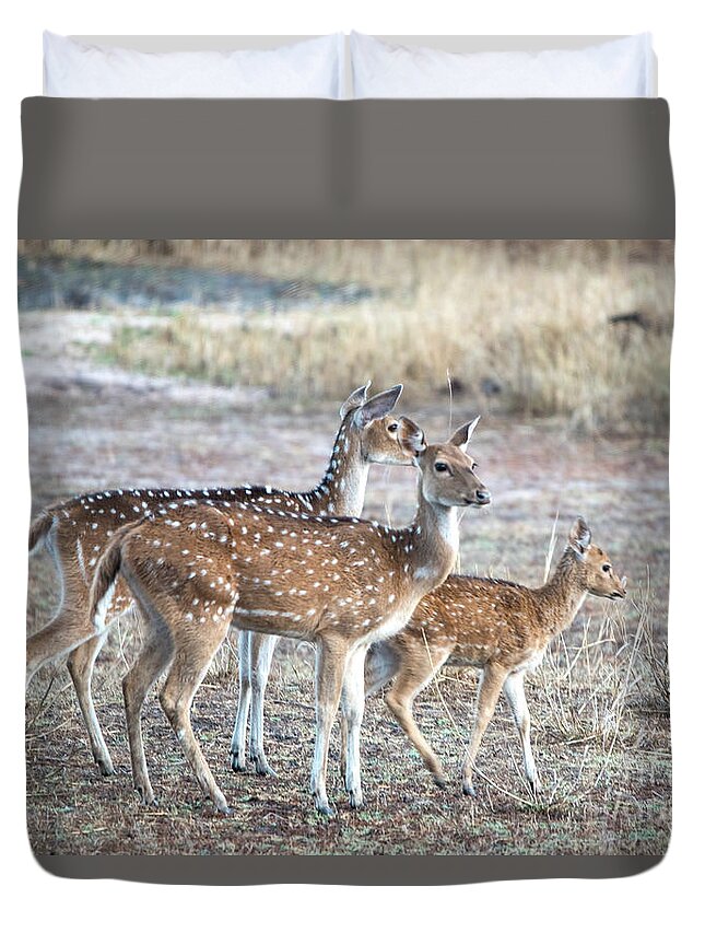 Wildlife Duvet Cover featuring the photograph Family outing #1 by Pravine Chester