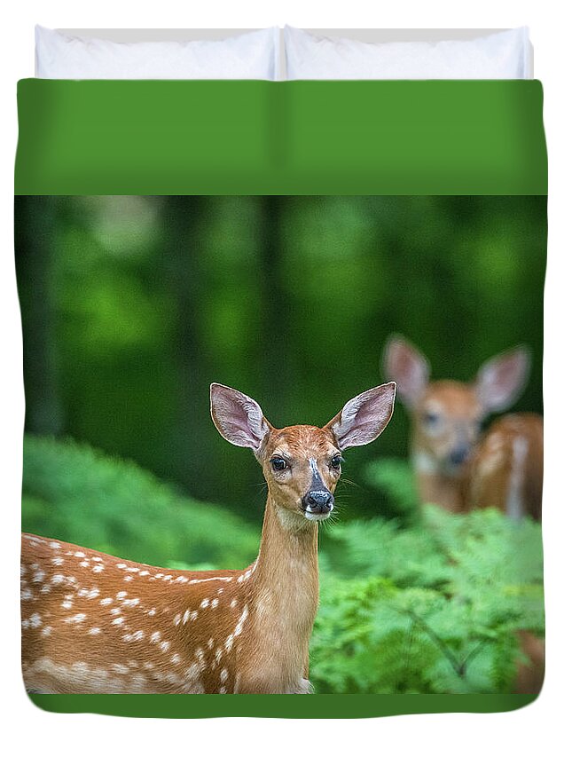 Deer Duvet Cover featuring the photograph Fawns #1 by Paul Freidlund