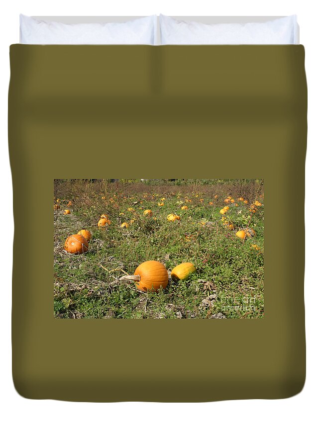 Pumpkin Duvet Cover featuring the photograph Field Of Pumpkins #1 by Ted Kinsman