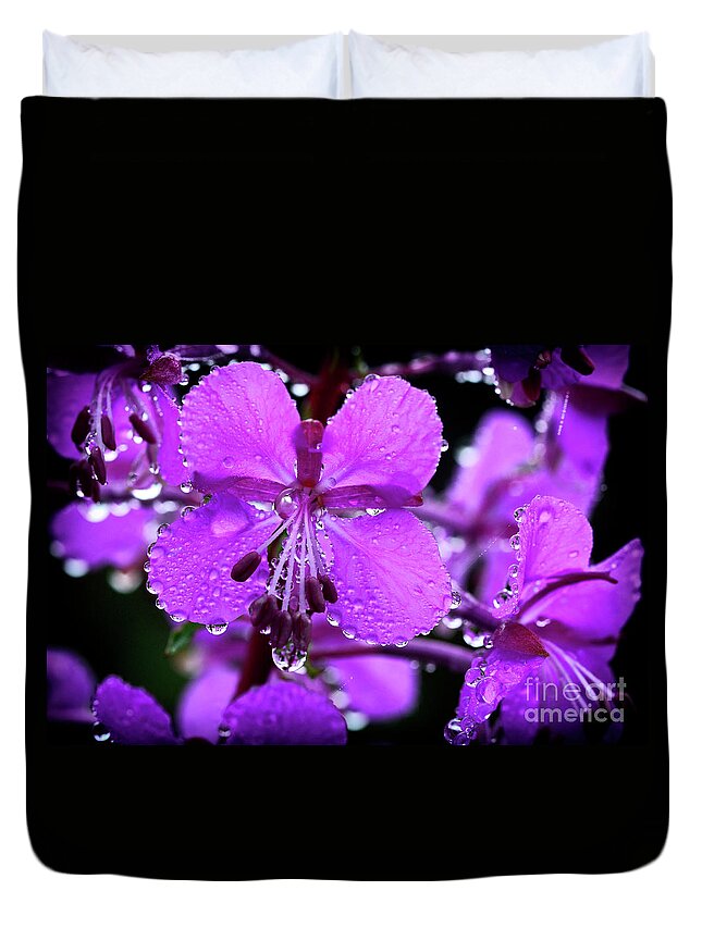 Summer Duvet Cover featuring the photograph Fireweed with Dew #1 by Thomas R Fletcher