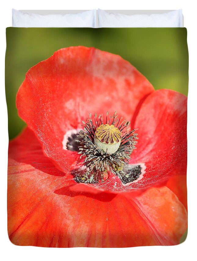 Mccombie Duvet Cover featuring the photograph Flanders Poppy #5 by J McCombie