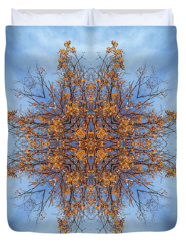 Foliage Kaleidoscope Duvet Cover featuring the photograph Foliage and sky kaleidoscope #1 by Lilia S