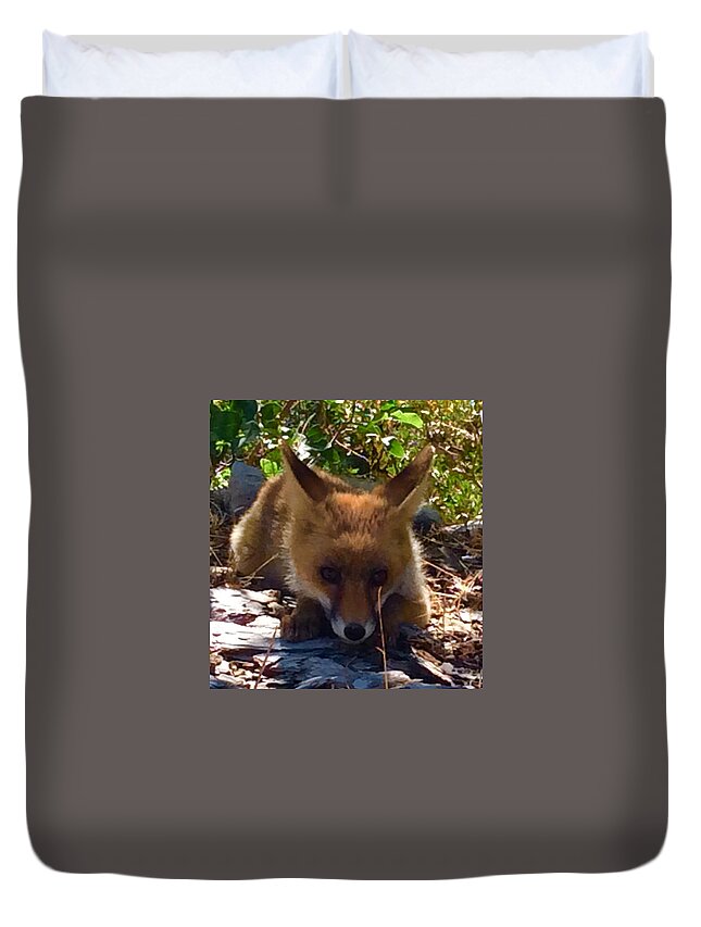 Colette Duvet Cover featuring the photograph Fox Joy #2 by Colette V Hera Guggenheim