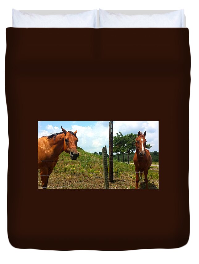 Horse Duvet Cover featuring the photograph Friendly Stallions by Kenny Glover