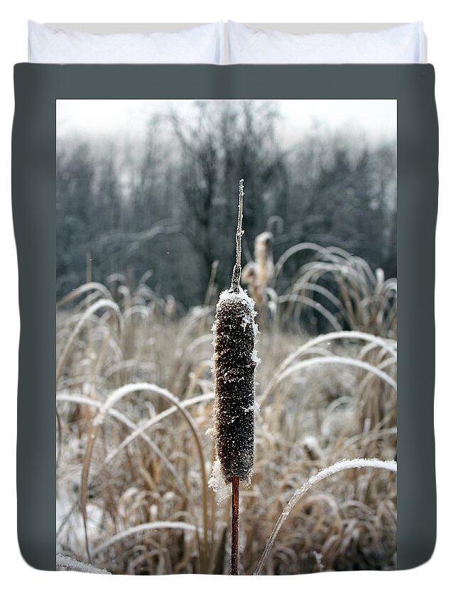 Frost Duvet Cover featuring the photograph Frosty #1 by Pat Purdy