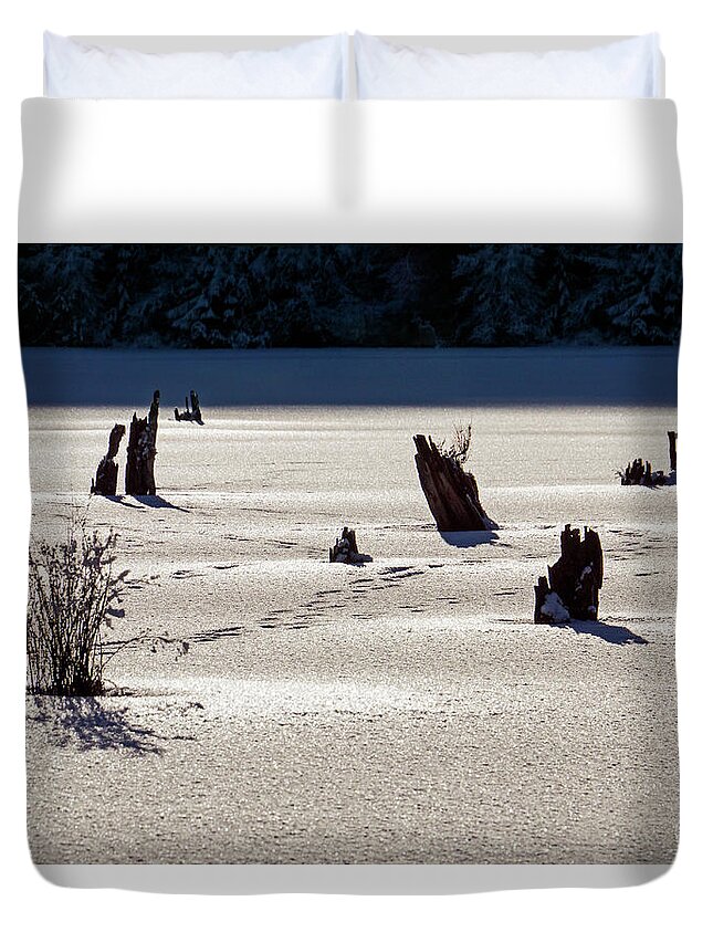 Frozen Duvet Cover featuring the photograph Frozen Lake #1 by Inge Riis McDonald