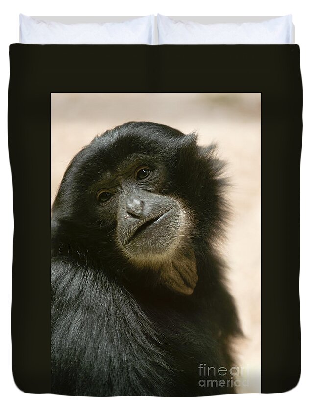 Asia Duvet Cover featuring the photograph Funky Gibbon #1 by Andrew Michael