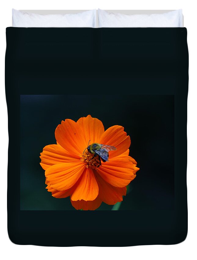 Orange Wildflower Duvet Cover featuring the photograph Garden Art by Rosanne Licciardi