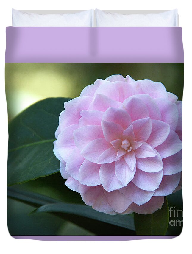 Flower Duvet Cover featuring the photograph Geometry #1 by Dan Holm